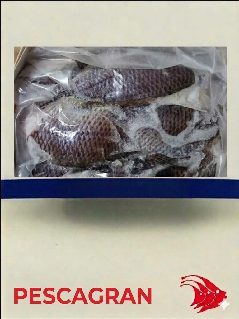 Minuta de Tilapia paquete 1,8 - 2 Kg