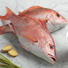 Pargo (Pescado entero eviserado) paquete 2,0 - 4,0 Kg